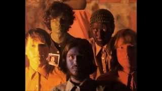 Do You Like Worms? (Do You Dig Worms?) by The Olivia Tremor Control