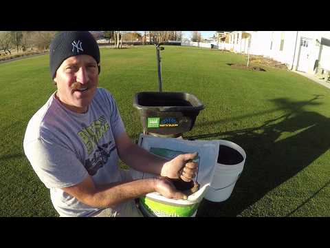 Applying humic acid to lawn
