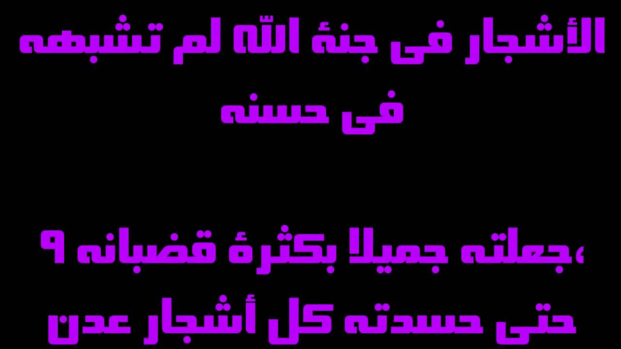 فيديو تفسير الكتاب المقدس | الكتاب المقدس رفيقي