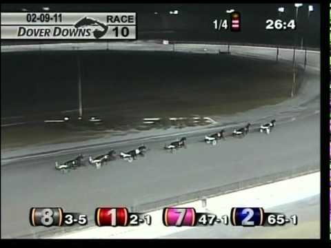 Winning Mister Lives Up To His Name with a Track Record