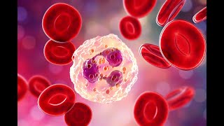 USMLE 1 Hematology 4th (Platelets & Coagulopathy)