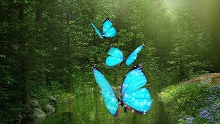 Peaceful Music, Relaxing Music, Instrumental Music, "Enchanted Journeys" by Tim Janis