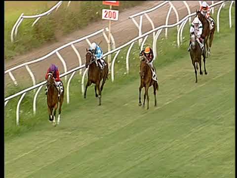 Galoppo 27/07/2019 - 1ª corsa