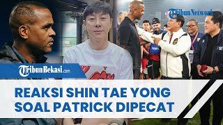 Terkuak Reaksi Shin Tae-yong Tahu Patrick Kluivert Dipecat, Kaget Ditanya Apa Mau ke Indonesia Lagi
