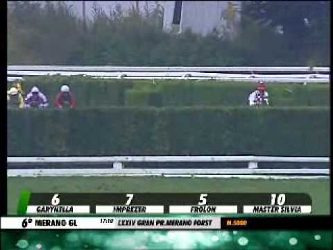 29/09/2013, Merano , Premio Lxxiv Gran Pr.merano Forst