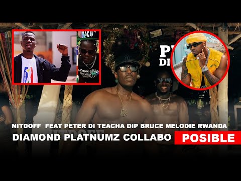 Nitdoff feat peter di teacha Dip Bruce Melodie rwanda  diamond platnumz Collabo posible