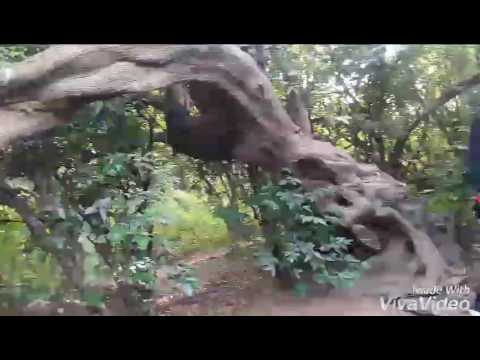 Akhlou Brick - Beni Alleluia -Alex Danseur