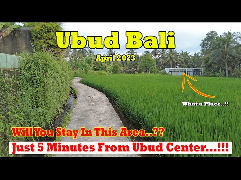 Área muito natural e tranquila em Ubud Bali.!! Você vai ficar aqui...?? A apenas 5 minutos do centro de Ubud.