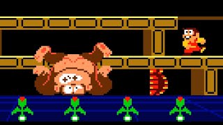Donkey Kong 3 (Arcade) | original video game | 33-stage session for 1 Player 🦧🪰🐛