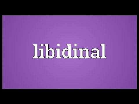 Libidinal Meaning