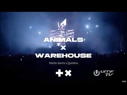 Martin Garrix x Quintino - Animals x Warehouse (Martin Garrix Mashup)