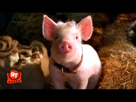 Babe: Pig in the City - That'll Do, Pig