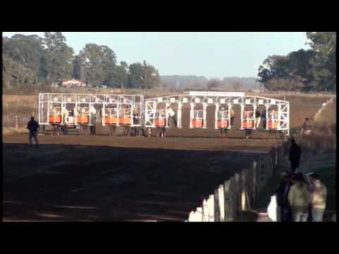 Daireaux 17 7 2016  CARRERA 1