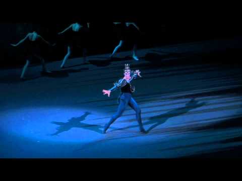 Nikolai Tsiskaridze - Swan Lake
