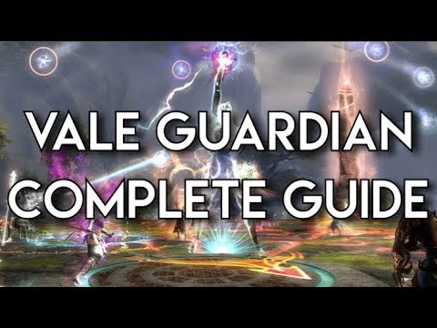 GW2 Raid Guide : Vale Guardian!