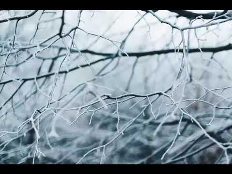 El Fother Ft. Zorro Rabia - Como asi