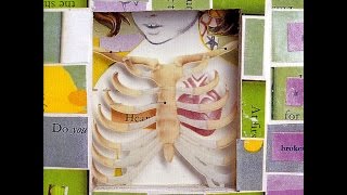 Pretty Girls Make Graves - Good Health (Full Album)