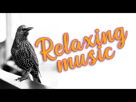 Soulful nature with Relaxing music | soulful views of natures beauty