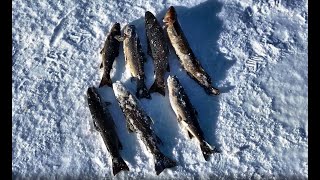 Рыбалка в мурманской области 2019 зимой