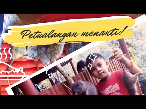 Saaku Mitumo - Makaaruyen | EDISI DODESO |