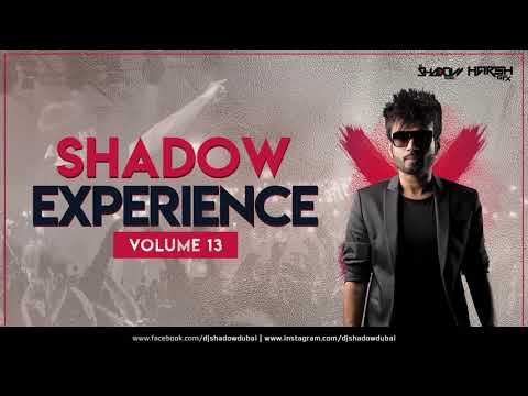 Shadow Experience Vol 13 | DJ Shadow Dubai | Nonstop Mixtape | Year Mix 2019 | Bollywood Podcast