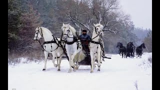 preview picture of video 'Русская тройка в Нелже'