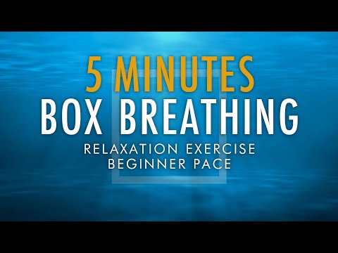 Box Breathing Relaxation Exercise | 5 Minutes Beginner Pace | Anxiety Reduction Pranayama Technique