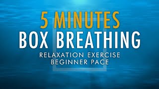 Box Breathing Relaxation Exercise | 5 Minutes Beginner Pace | Anxiety Reduction Pranayama Technique