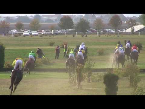 BR, 1. 10. 2016, 8. dostih - Podzimní brněnská steeplechase - Pohár statutárního města Brna