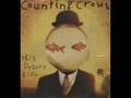 counting crows - colorblind 
