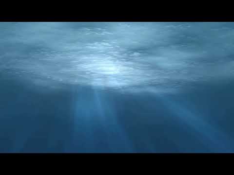 Sonido Bajo el Mar - Sound Under the Sea