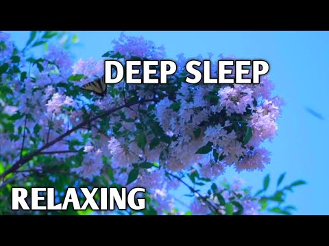 Largest FLOWERS Collection in the World 4K ULTRA HD - with Calming Music