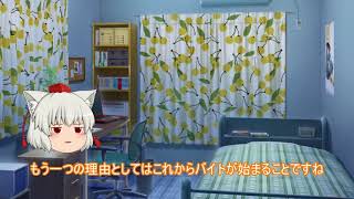 これからの動画ペースについて