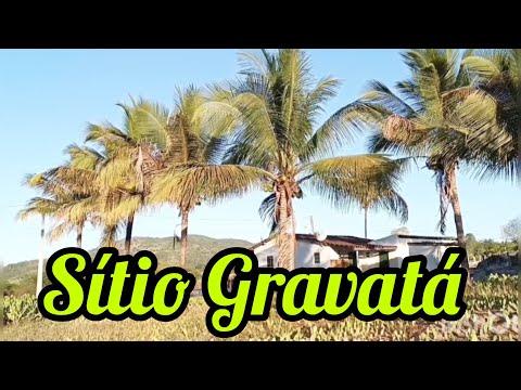 Sítio Gravatá - Santana do Ipanema-AL @oparaiso7978 #oparaiso 