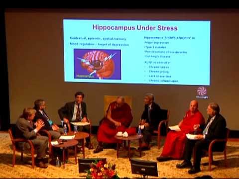 Mind and Life XXV - Part 08 - Bruce S. McEwen, Ph.D.