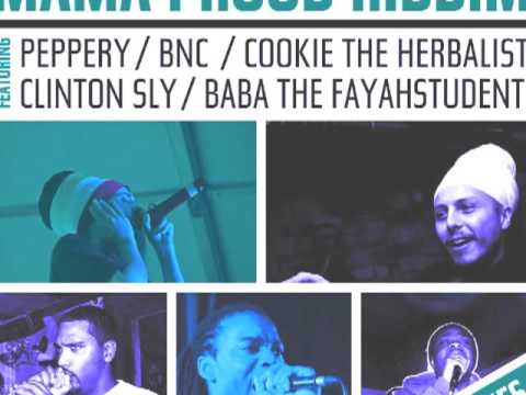 Blend Mishkin feat. Cookie the Herbalist - Straight to the Top (Max RubaDub Remix)