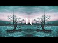 N3WPORT The Old Us Feat FJØRA Lyric Video