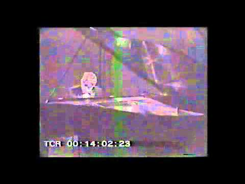 Sokolv Petrushka Part 2