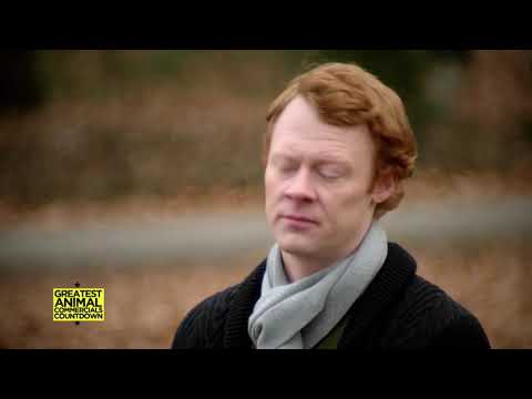 Dogs-United Kingdom Mars Bar Commercial.