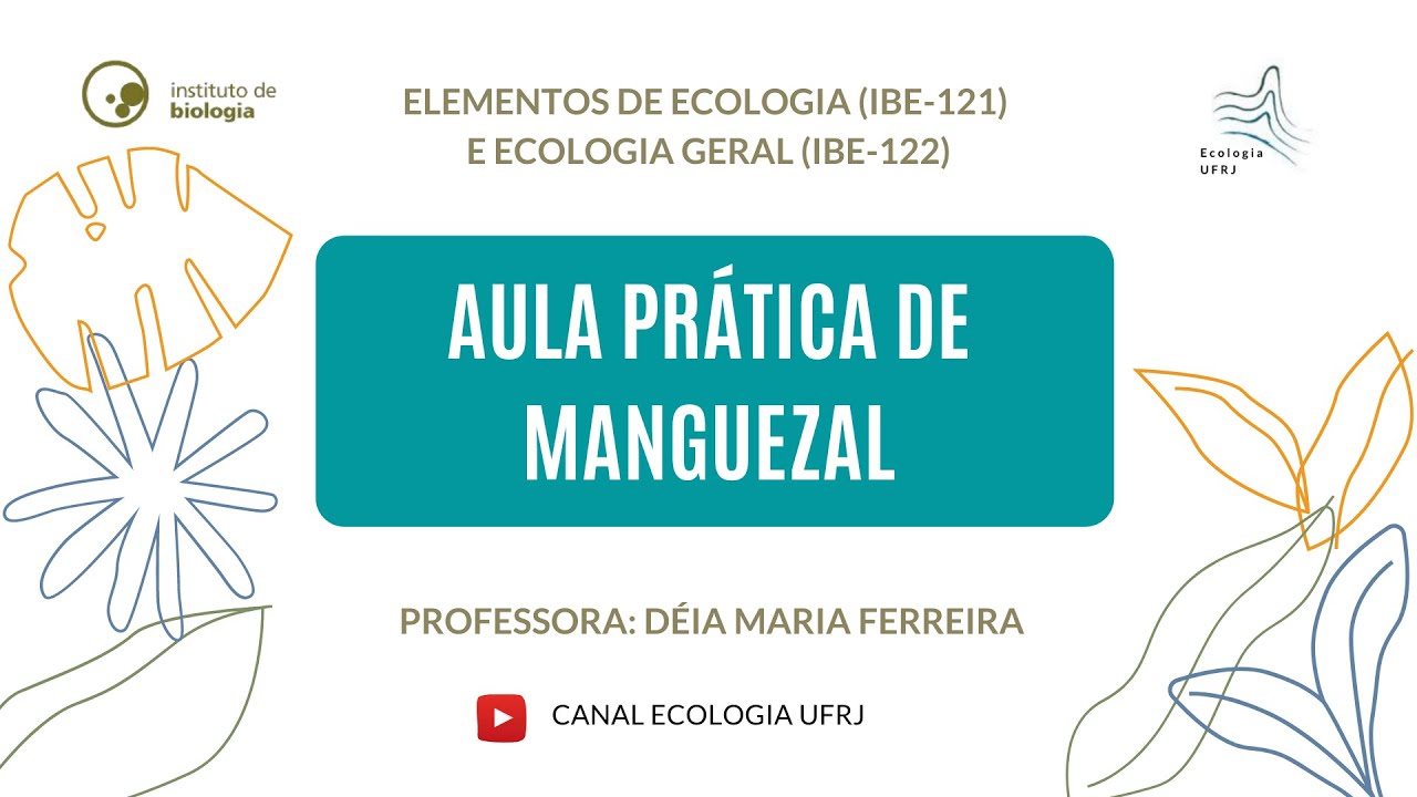 Prática de Manguezal - Elementos de Ecologia (IBE-121) e Ecologia Geral (IBE-122)