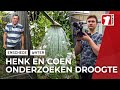Zo droog is het in Enschede