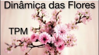 Uma dinâmica diferente das flores