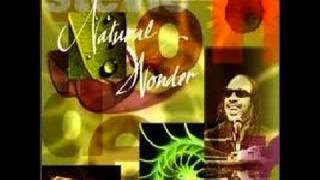 stevie wonder - you are the sunshine of my life