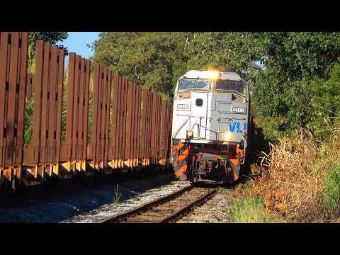 O PÁTIO TREMEU COM A PASSAGEM DAS PODEROSAS SD70!