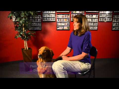 Gabriel's Angels - Angel Stories