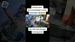 Download lagu maling apes mp3