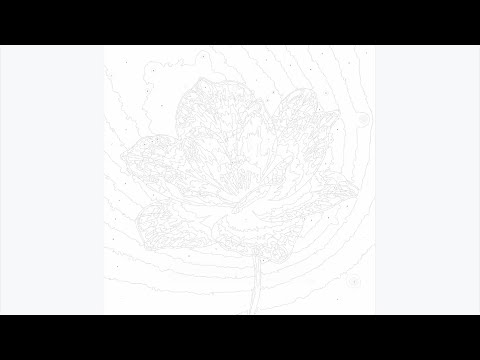 Paint Zen - Paint By Number