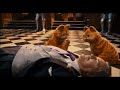 Garfield A Tail Of Two Kitties 2006 The Animals Fight Back