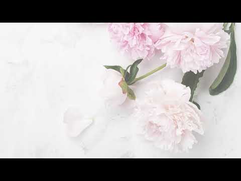 ANNA H. NIEMCZYNOW – Powiedz życiu tak Lili – posłuchaj fragmentu audio