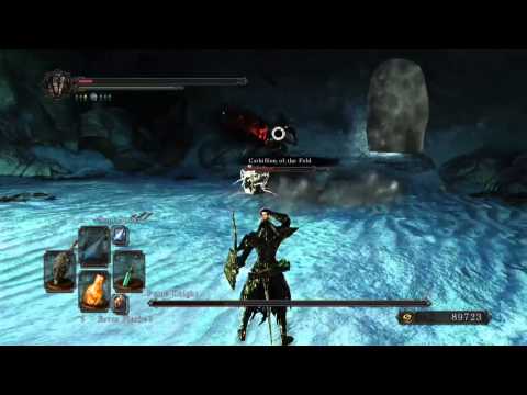 D4RK x AKR Dark Souls 2 Vs Fume Knight